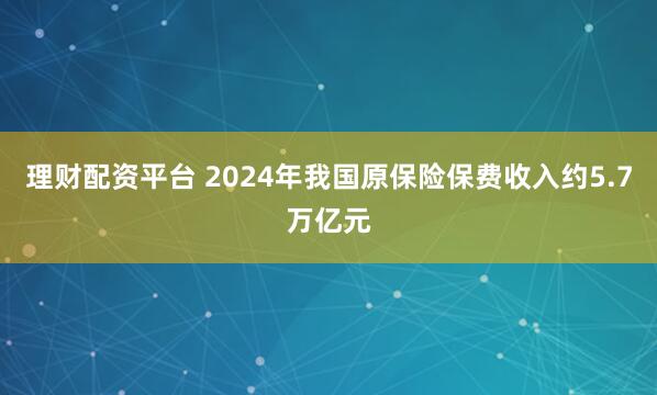 理财配资平台 2024年我国原保险保费收入约5.7万亿元