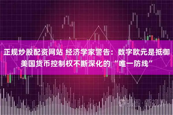 正规炒股配资网站 经济学家警告:数字欧元是抵御美国货币控制权不断深化的 “唯一防线”